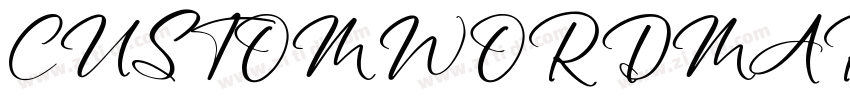 CUSTOM WORDMARK字体转换